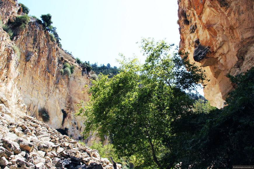 Ущелье Авакас (Avakas Gorge)