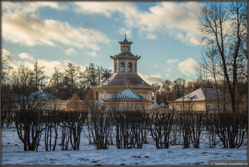 Как я влюбилась в зимний Александровский парк. Китайские отголоски