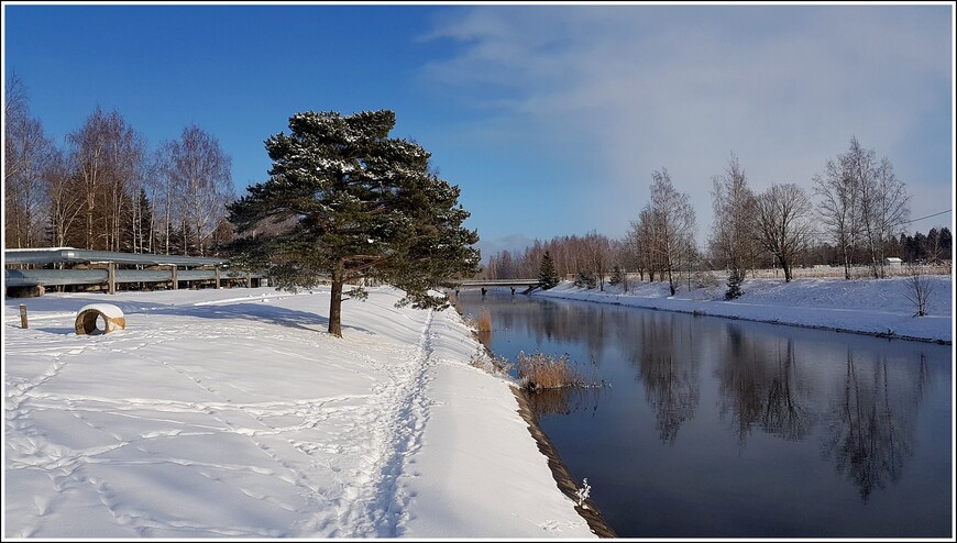 23 февраля — мороз и солнце, день чудесный