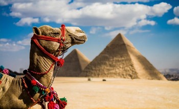 В Египте рядом с пирамидами не будет торговцев и верблюдов