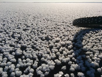 Ладожское озеро покрылось необычным инеем 