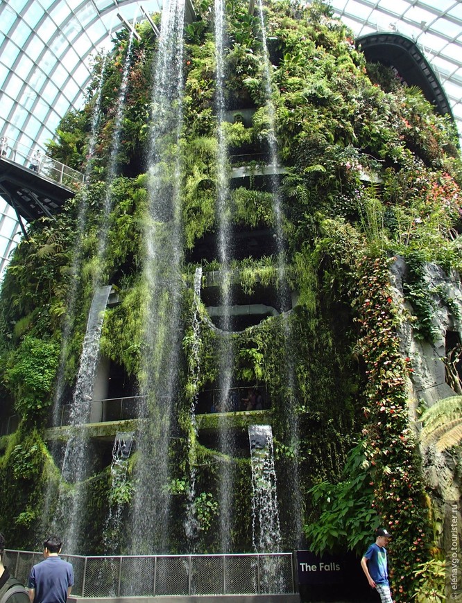 Неделя в Сингапуре. Часть 2. Сады у залива Gardens by the Bay. Cloud Forest и Flower Dome. Смотровая площадка Marina Bay Sands.