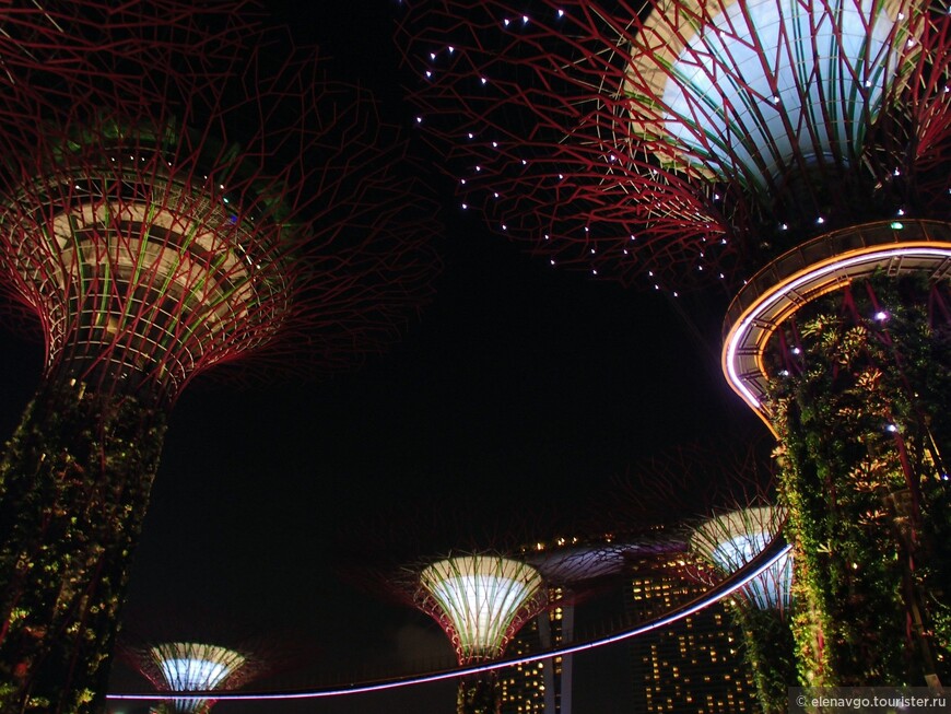 Неделя в Сингапуре. Часть 2. Сады у залива Gardens by the Bay. Cloud Forest и Flower Dome. Смотровая площадка Marina Bay Sands.