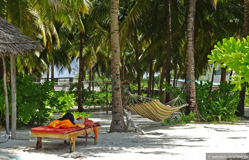 Бюджетные Мальдивы: атолл  Лааму. Часть 1. Остров Ган