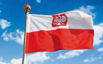 Визовые центры Польши приостанавливают работу в РФ