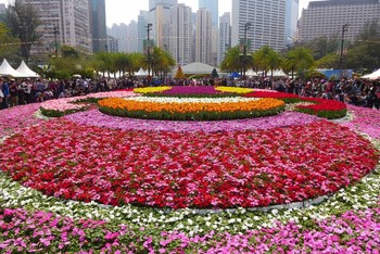 В Гонконге проходит крупнейшее цветочное шоу