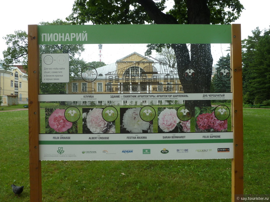 Ботанический сад в Петербурге. Я видел «Царицу ночи»