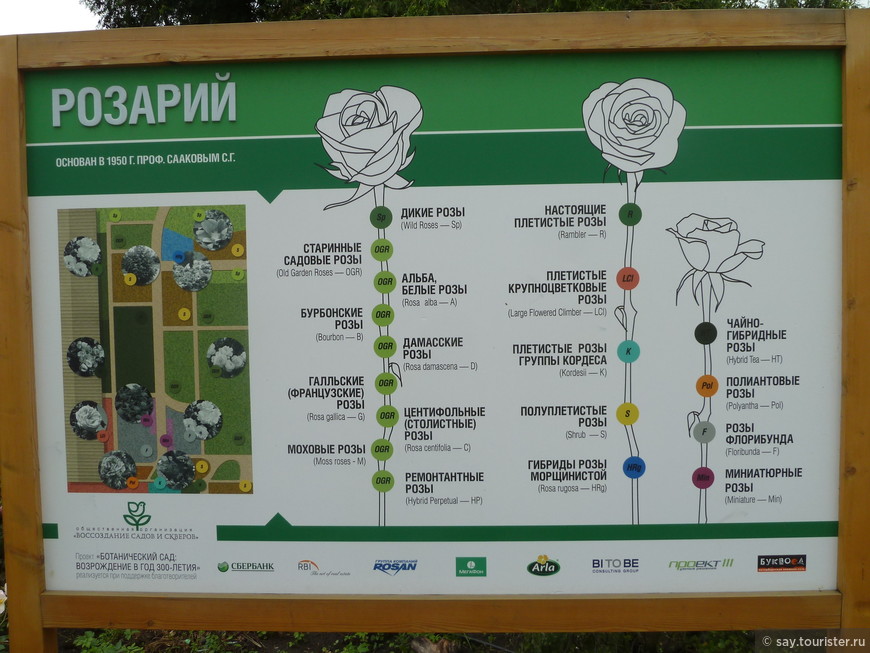 Ботанический сад в Петербурге. Я видел «Царицу ночи»