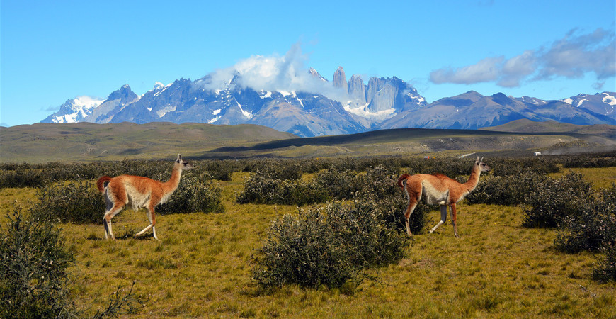 Национальный парк Торрес-дель-Пайне