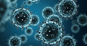 Роспотребнадзор предупреждает о вспышке гриппа в Европе 