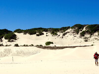 Песчаные дюны Александрия в Южной Африке