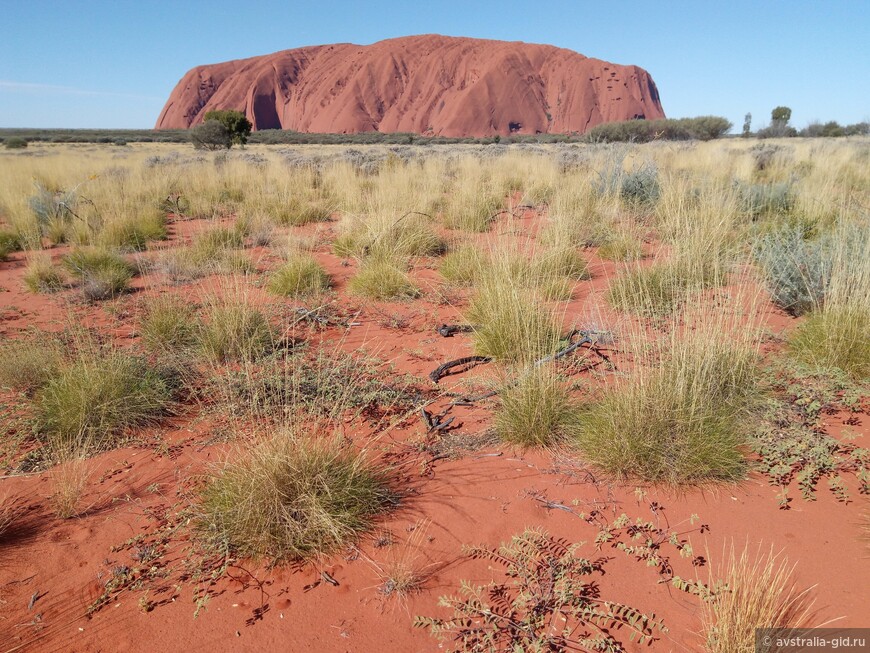 Как посмотреть красную гору Улуру и гору Ольга? Что посмотреть в центре Австралии? Сколько дней провести в Красном центре (австралийской пустыне)?