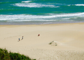 Песчаные дюны Александрия в Южной Африке