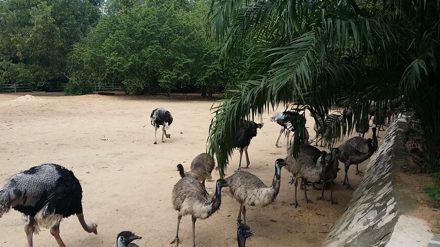 Парк птиц на Хайнане