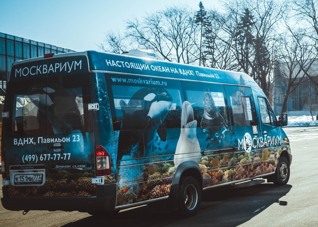 Автобусные экскурсии вднх. Автобус до Москвариума. Автобус аквариум проект. Автобус до океанариума ВДНХ. Автобус ВДНХ Москвариум.