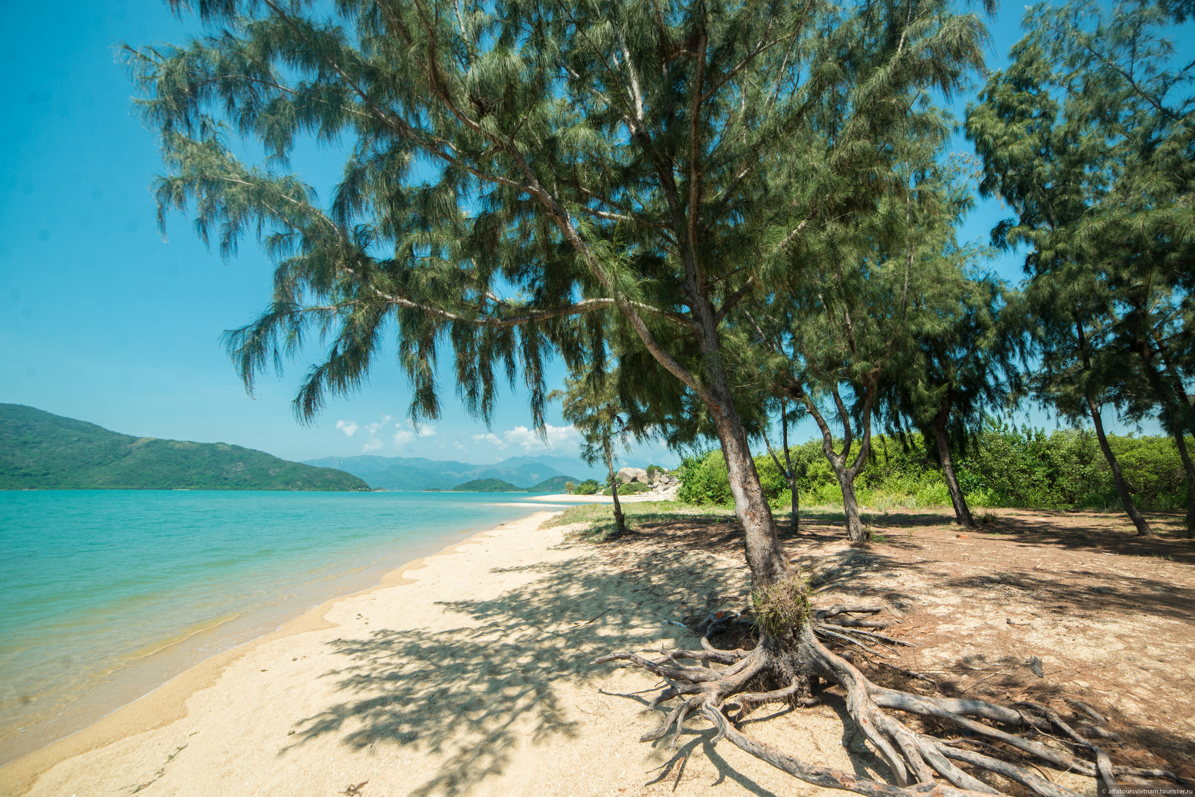 Trang island. Северные острова Вьетнам. Северные острова Нячанга. Северные острова. Залив ня фу. Нячанг остров оленей.