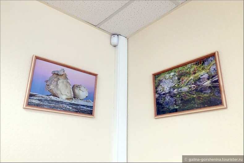 Картинки в офисе