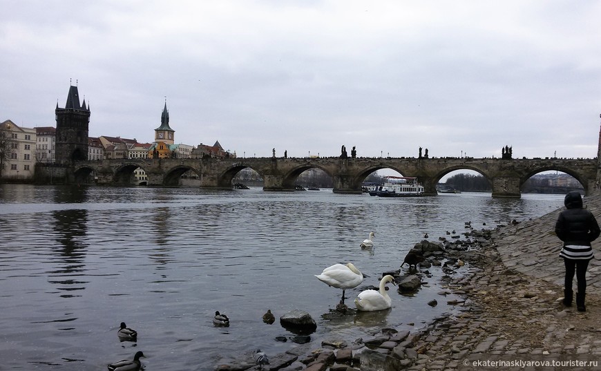 Подарок на день рождения, Март 2018, отзыв от туриста ...