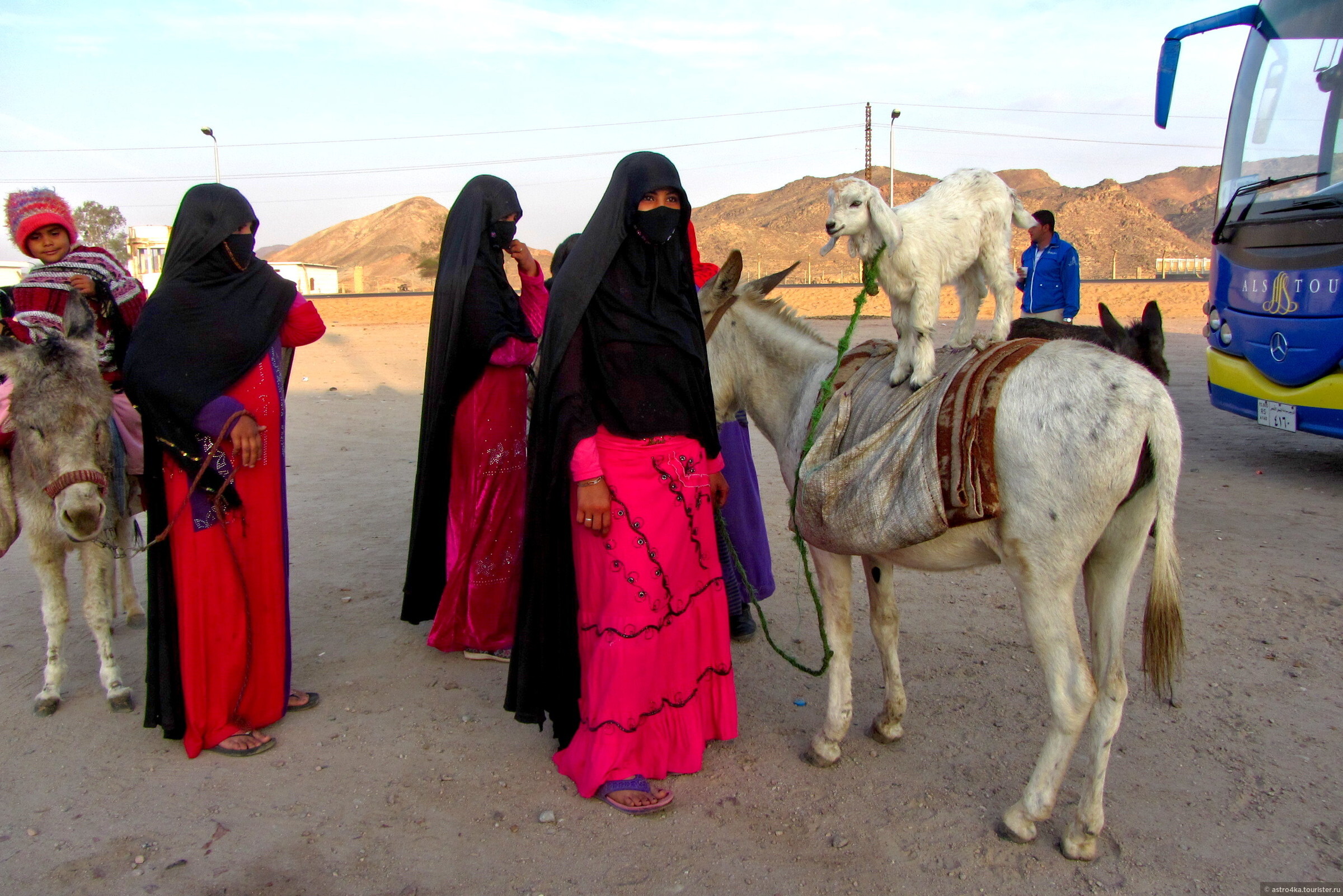 Египет. Пустыня, багги, бедуины, отзыв от туриста Astro4ka на Туристер.Ру