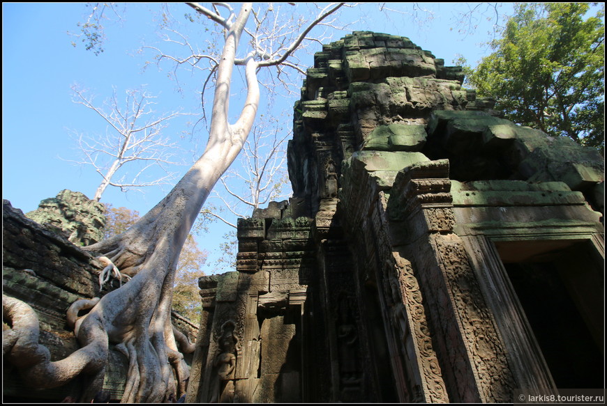 Ради чего едут в Камбоджу. Ангкор-Ват и Та Пром