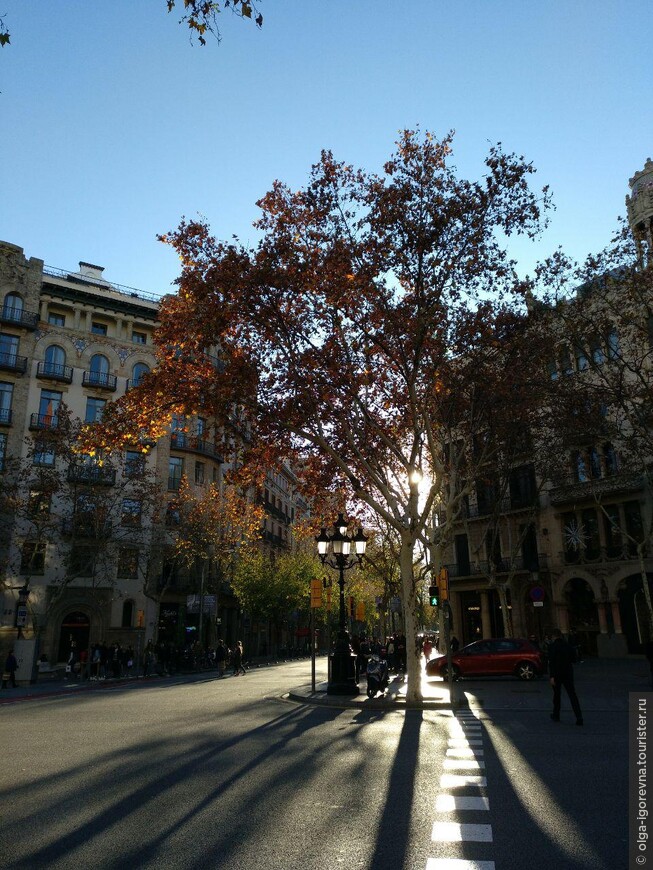 Декабрьская Барселона