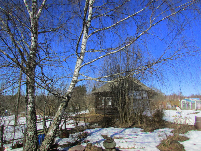 Весенняя деревня (Догадцево, 14–15 апреля 2018)
