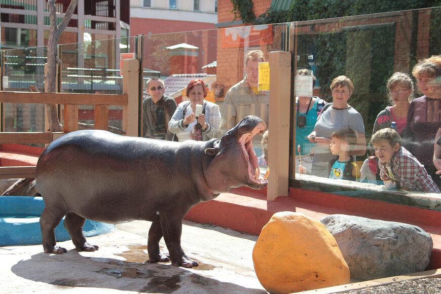 Зоопарк в Екатеринбурге