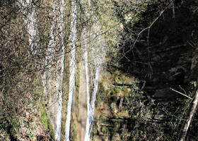 Самый высокий водопад – «Пасть Дьявола». Он достигает в высоту почти 20 метров. И для того, чтобы увидеть его во всей красе, нужно спуститься (а назад - подняться) по очень крутой лесенке. Падающие с высоты потоки – это просто завораживающее зрелище. И возле этого водопада четко понимаешь, что нет двух одинаковых водопадов, каждый неповторим и по-своему уникален.