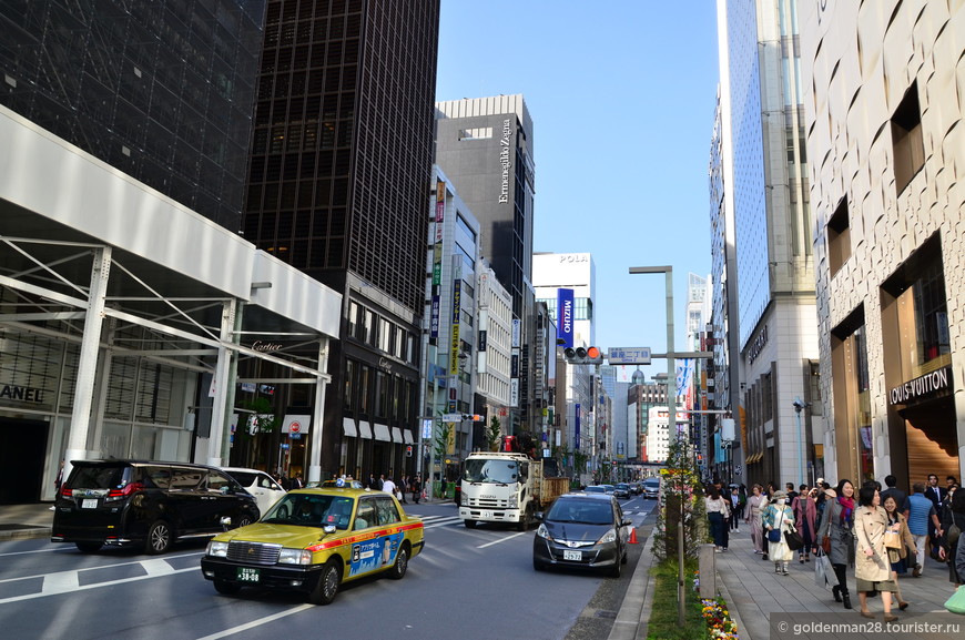 Токио — столица страны цветущей сакуры