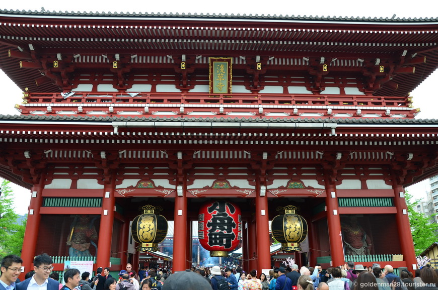 Токио — столица страны цветущей сакуры