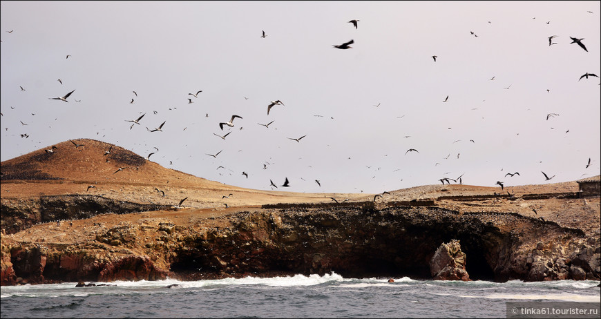 Перуанские маршруты. Птичий рай островов Бальестас и дюны Ики