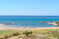 Пляж Франгокастелло на Крите