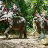 Катание на слонах и шоу животных – Namuang Safari Park вид 6 - samuitours.ru