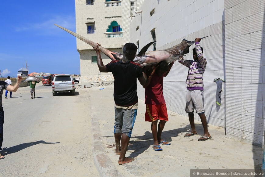 Сомали: Хаос, который и есть порядок. Часть третья: «Затишье»