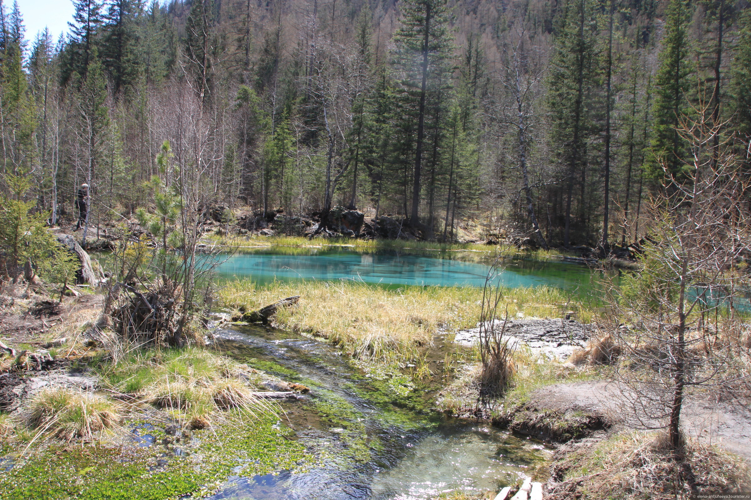 Река Менка Акташ