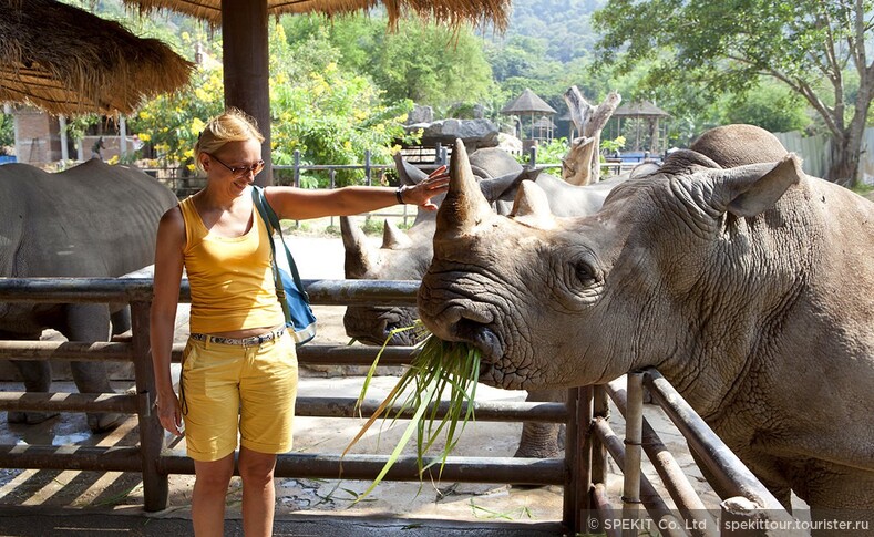 Зоопарк в Чианг Мае