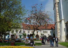 В Бистрице мы были в субботу в канун Вербного Воскресенья. Пасхальное дерево у входа в церковь. 