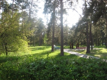 В лесах Белоруси