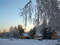 На базе отдыха Родник. Сибирская зима. Фото © Новопашин С.А., 2012.