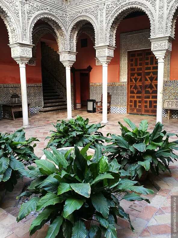 Дом-дворец Salinas  в Севилье