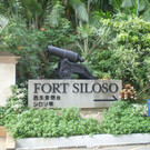 Форт Силозо