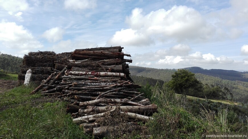 Тропой пилигримов. Camino de Santiago. День второй