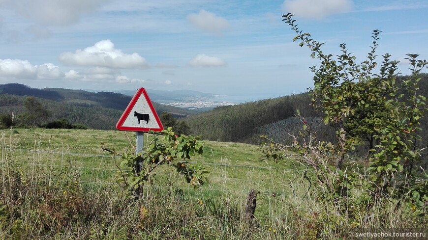 Тропой пилигримов. Camino de Santiago. День второй