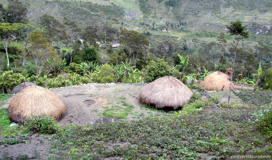Типичные домики папуасов Дани в долине Балием