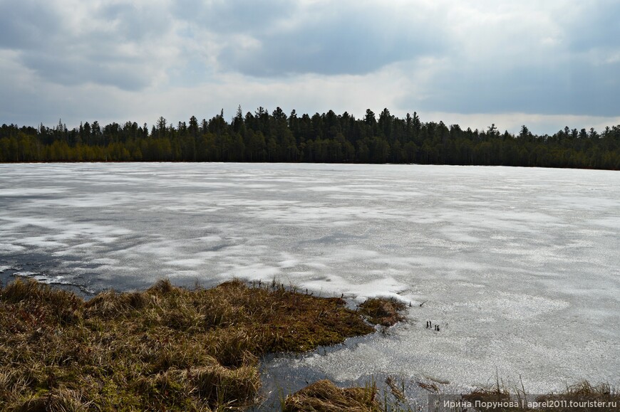 Озеро Поссен-Лор считается старым, его берега достаточно сильно заболочены