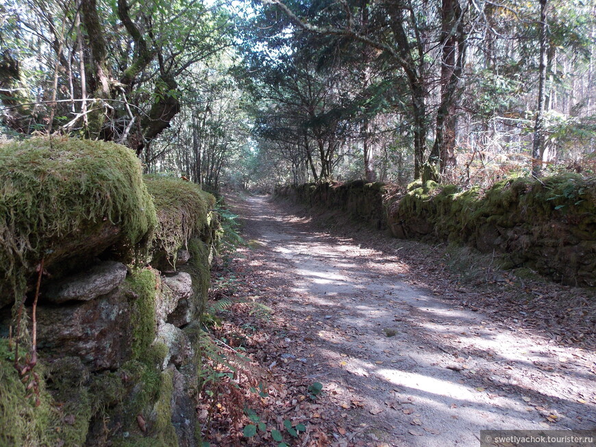 Тропой пилигримов. Camino de Santiago.День четвертый