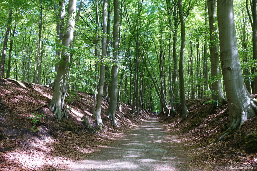 Велотур по Бельгии. Ватерлоо, холм Льва и голубой лес