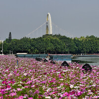 Левее башни Жемчужную пересекает мост Liede Bridge. По нему мы ездили в Пачжоу.