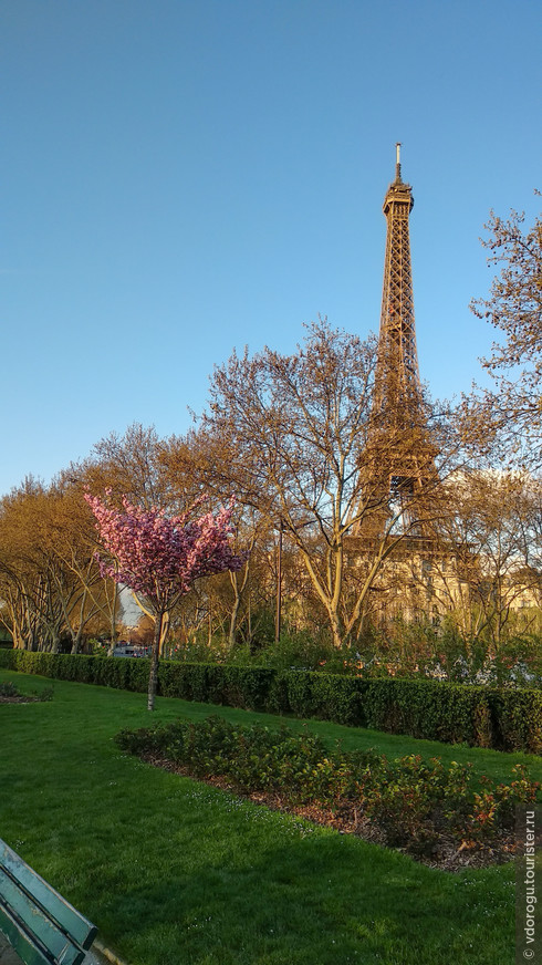Неделя весны в Париже