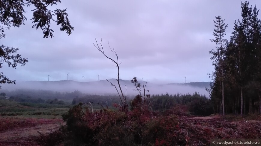 Тропой пилигримов. Camino de Santiago. День пятый